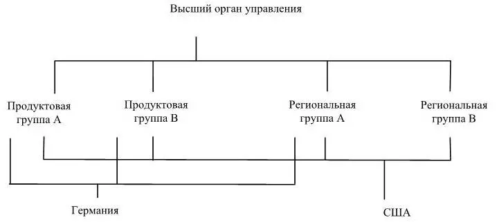 Рисунок 18 Встраивание международных операций в матричную организационную - фото 20