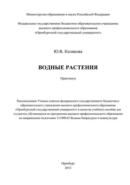 Юлия Килякова Водные растения обложка книги