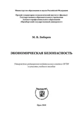 Михаил Зибарев - Экономическая безопасность
