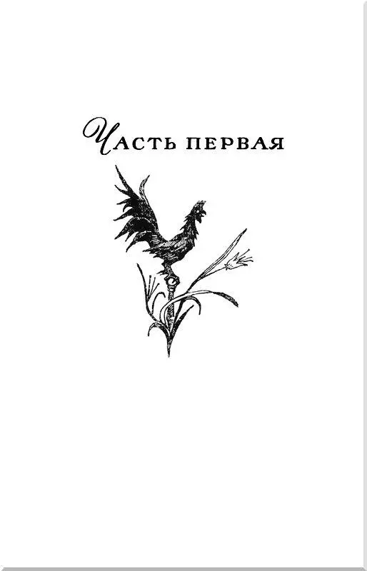 ЧАСТЬ ПЕРВАЯ I Три дара гна дАртаньянаотца В первый понедельник апреля - фото 5