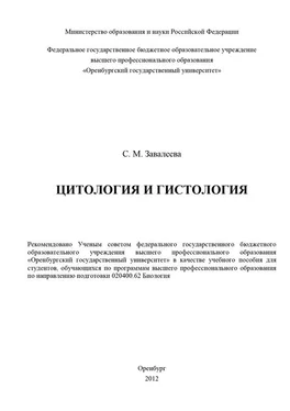 Светлана Завалеева Цитология и гистология обложка книги