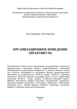 Вячеслав Воробьев Организационное поведение (практикум) обложка книги