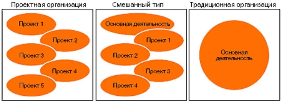 Рис 112 Варианты присутствия проектной деятельности в деятельности компании - фото 2