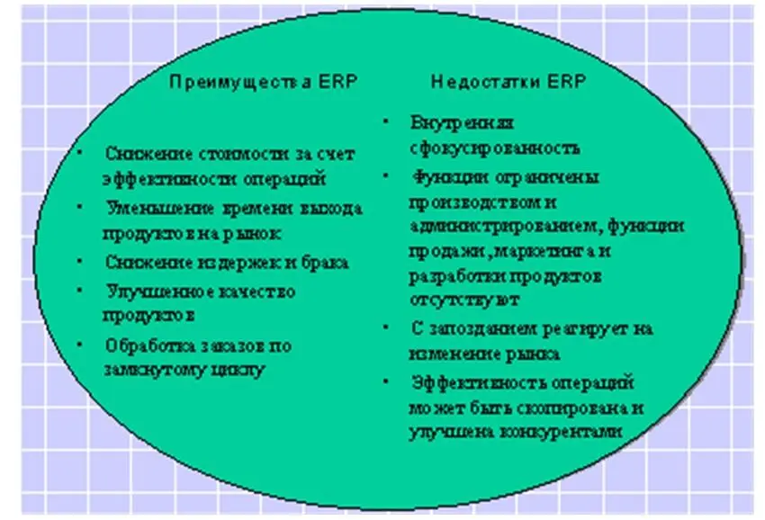 Рис 113 Преимущества и недостатки ERP Одной из последних тенденций в - фото 4
