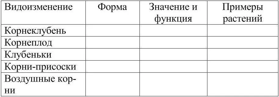 Стебель как осевой орган растения характеризуется верхушечным ростом - фото 22