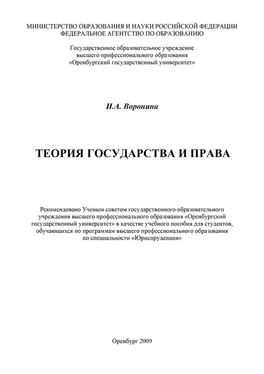 Ирина Воронина Теория государства и права обложка книги