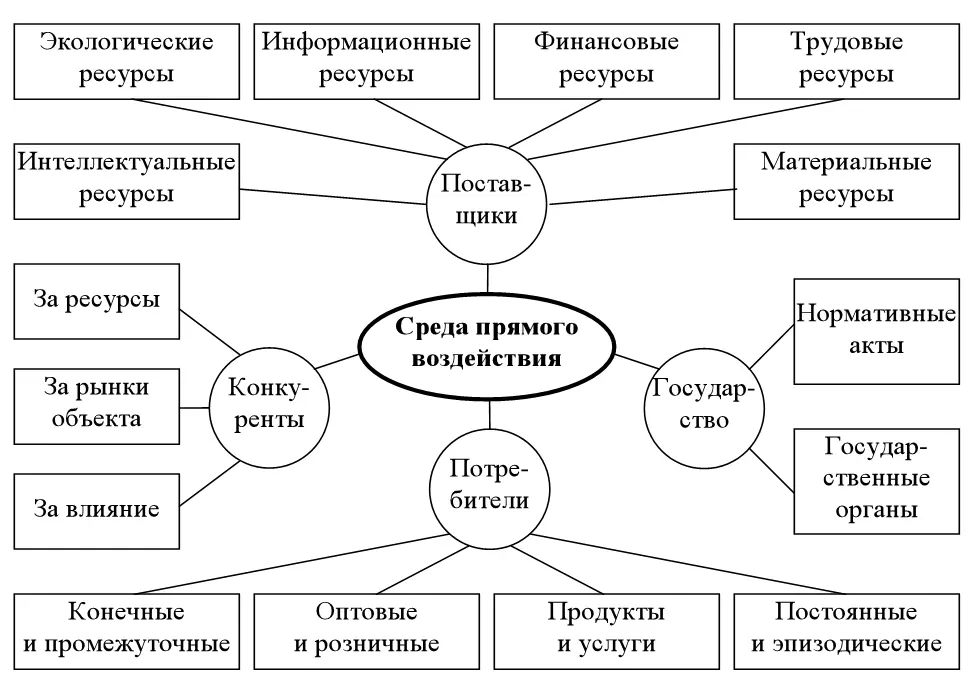Рис 24 Основные элементы среды прямого воздействия Особое место занимает - фото 24