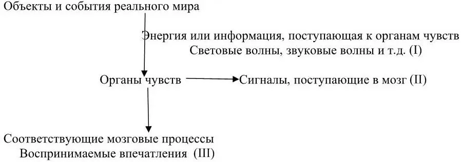 Первый уровень схемы I объясняется восприятие световой волны определённой - фото 6