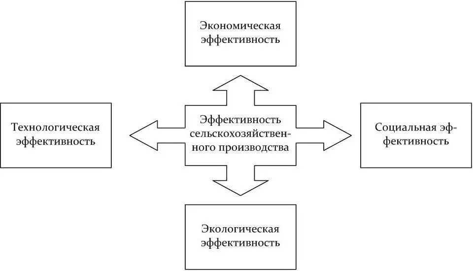 Рисунок 2 Классификация видов эффективности сельскохозяйственного - фото 2