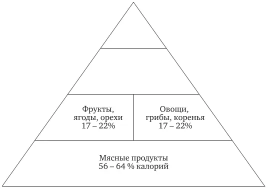 Внимание читателя здесь хотелось бы обратить на то что авторы большинства книг - фото 6