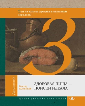 Виктор Конышев Здоровая пища – поиск идеала обложка книги