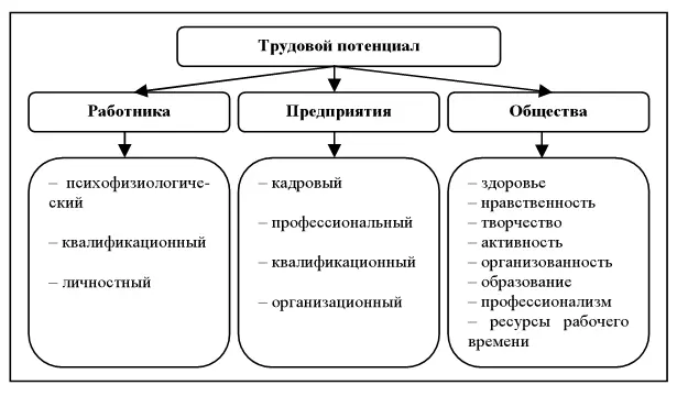 Рис 8 Виды и компоненты трудового потенциала Трудовой потенциал работника - фото 8
