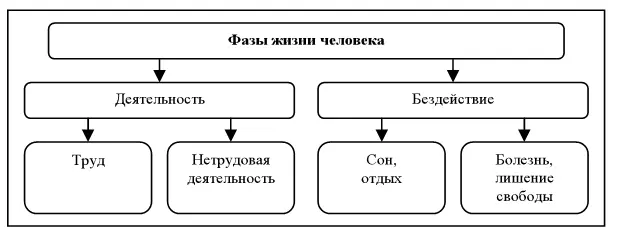 Рис 2 Фазы жизни человека Деятельность форма существования людей активный - фото 2