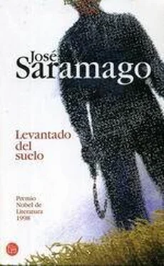 José Saramago Levantado Del Suelo обложка книги