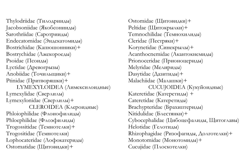 Кадастр жесткокрылых насекомых insecta coleoptera Предкавказья и сопредельных территорий - фото 5