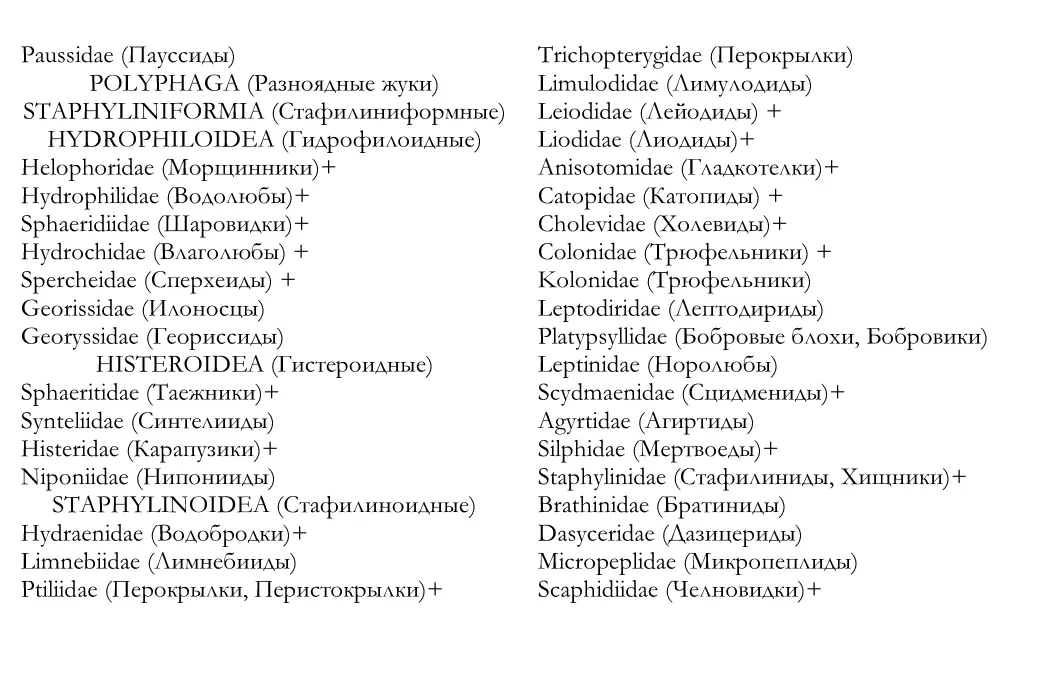 Кадастр жесткокрылых насекомых insecta coleoptera Предкавказья и сопредельных территорий - фото 2