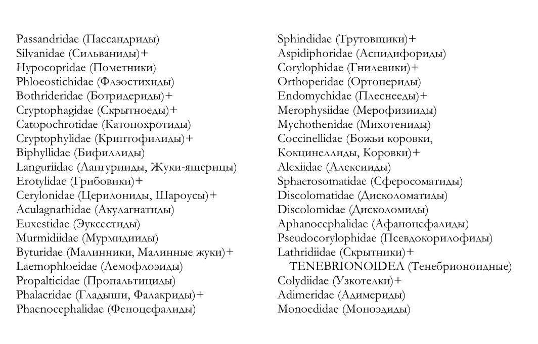Ниже показаны родственные связи изестных на настоящее в - фото 6