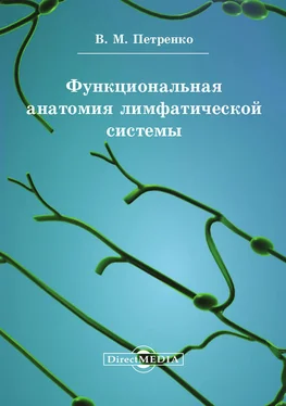 Валерий Петренко Функциональная анатомия лимфатической cистемы обложка книги