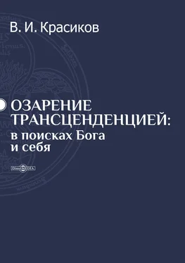 Владимир Красиков Озарение трансценденцией обложка книги