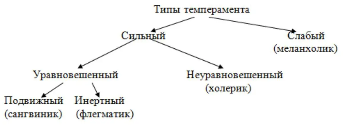 Рисунок 21 Типы темперамента по теории И П Павлова Это сильныйтип - фото 3