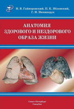 Петр Яблонский Анатомия здорового и нездорового образа жизни атлас обложка книги