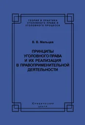 Василий Мальцев - Принципы уголовного права и их реализация в правоприменительной деятельности