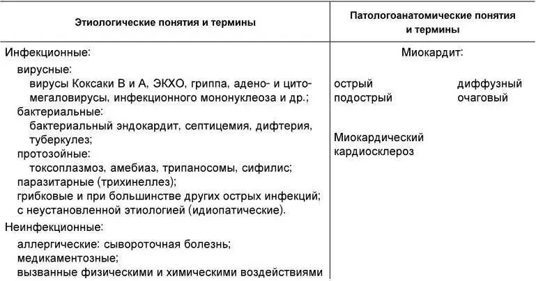 В ряде классификаций все миокардиты подразделяются на ревматические и - фото 24