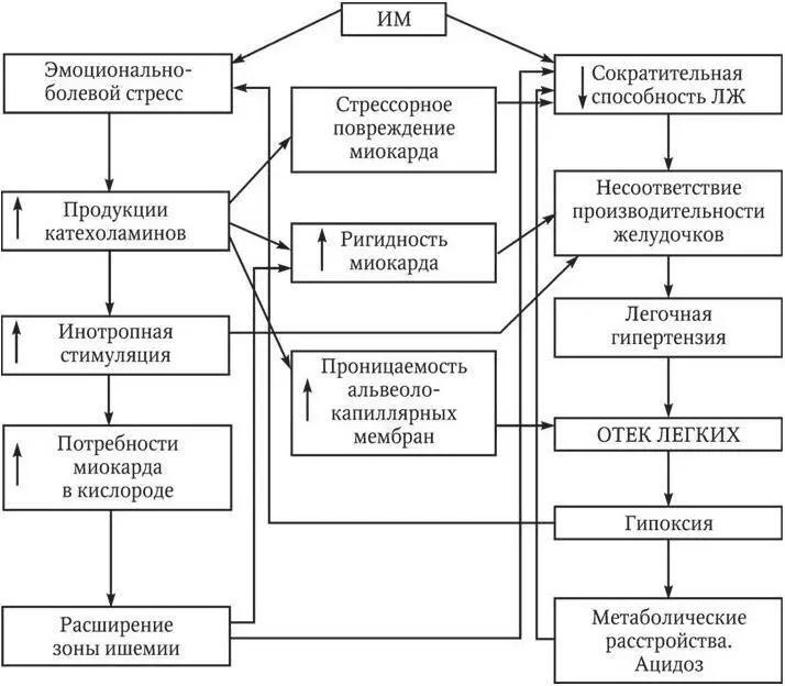 Рис 113 Патогенез отека легких при инфаркте миокарда Интерстициальный отек - фото 43