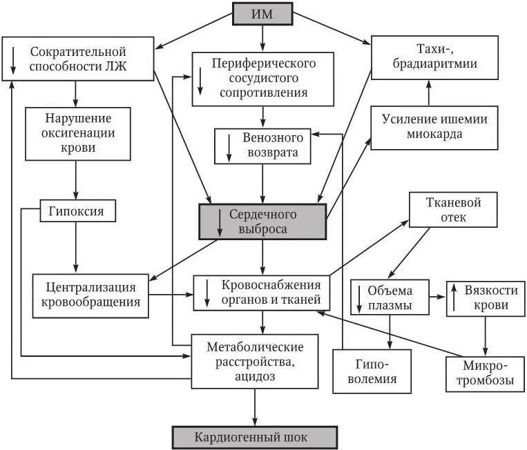 Рис 114 Патогенез кардиогенного шока при инфаркте миокарда Резкое снижение - фото 44