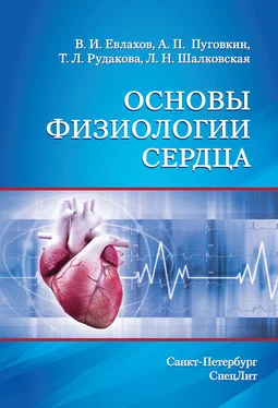 Лариса Шалковская Основы физиологии сердца обложка книги