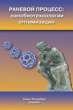 Коллектив авторов Раневой процесс: нанобиотехнологии оптимизации обложка книги