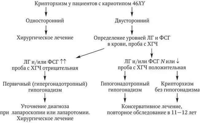 Рис 31 Дифференциальный диагноз и показания к лечению различных вариантов - фото 21