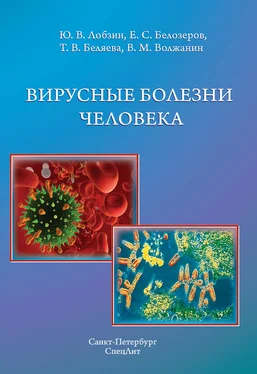 Юрий Лобзин Вирусные болезни человека обложка книги