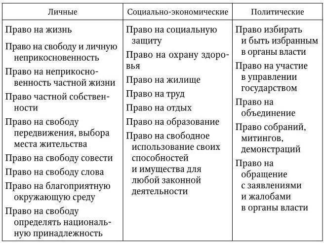 Целью гарантий прав человека является обеспечение действия прав человека - фото 5