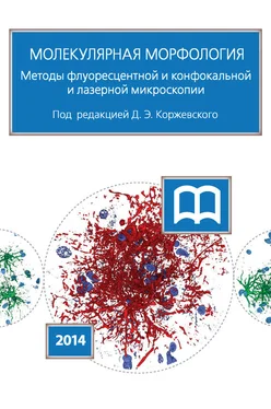 Коллектив авторов Молекулярная морфология. Методы флуоресцентной и конфокальной лазерной микроскопии обложка книги