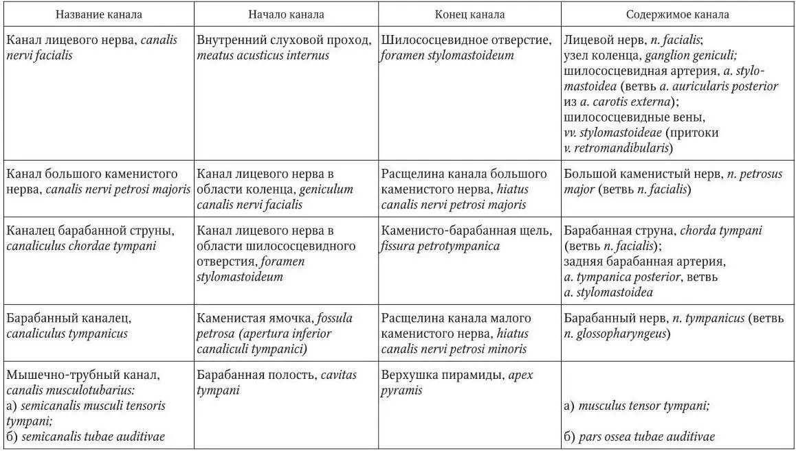 Впереди бугорка в поперечном направлении располагается предперекрестная - фото 6
