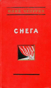 Юлий Чепурин Снега обложка книги