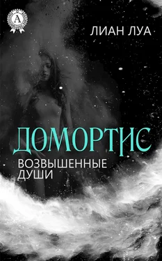 Лиан Луа Домортис. Возвышенные души обложка книги