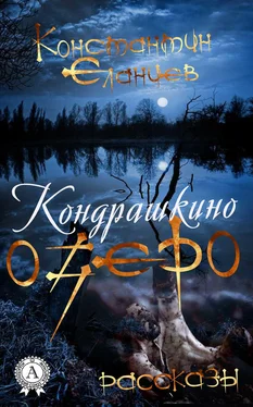 Константин Еланцев Кондрашкино озеро обложка книги