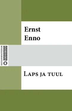 Ernst Enno Laps ja tuul обложка книги