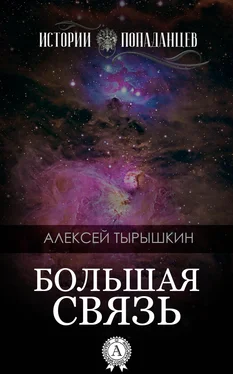 Алексей Тырышкин Большая Связь обложка книги