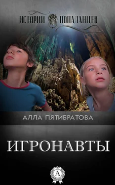 Алла Пятибратова Игронавты обложка книги