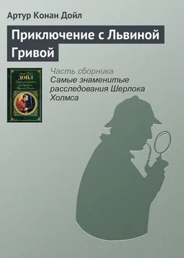 Артур Дойл Приключение с Львиной Гривой обложка книги