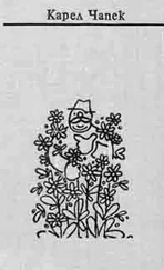 Карел Чапек - Что-нибудь новое