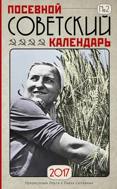 Павел Сюткин Посевной советский календарь на 2017 год. Сажаем по ГОСТу обложка книги