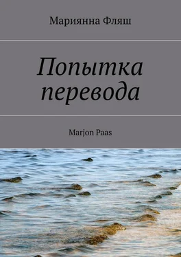 Мариянна Фляш Попытка перевода обложка книги