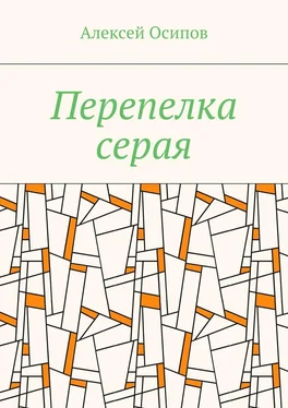 Алексей Осипов Перепелка серая обложка книги