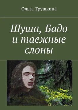 Ольга Трушкина Шуша, Бадо и таежные слоны обложка книги