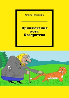 Ольга Трушкина Приключения кота Квадратека обложка книги