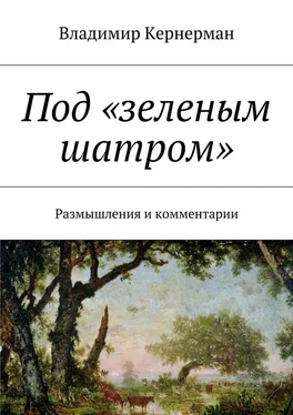 Владимир Кернерман Под «зеленым шатром». Размышления и комментарии обложка книги